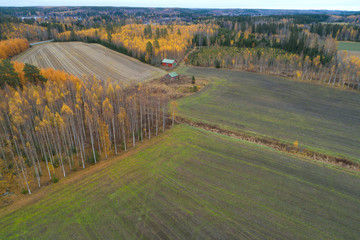 Above Autumn Finland (aerial photography)