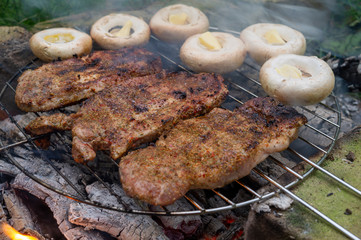 Meat and mushrooms grilling on a BBQ fire