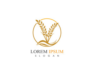 Wheat rice agriculture logo design icon vector template