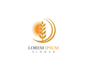 Wheat rice agriculture logo design icon vector template