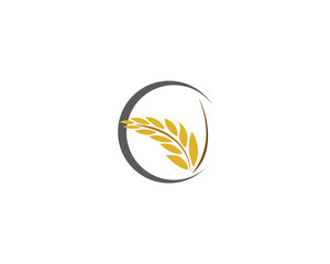 Agriculture wheat rice icon Template vector design