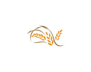 Agriculture wheat rice icon Template vector design