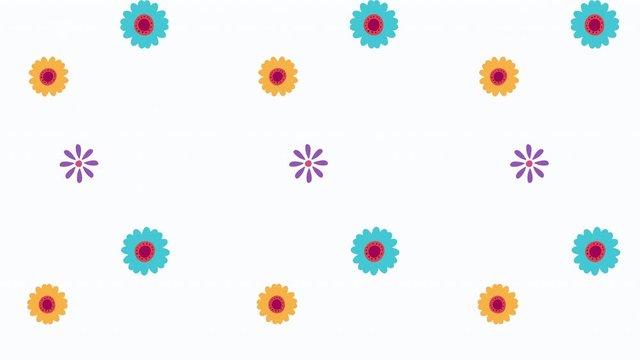 viva mexico animation with flowers rain pattern