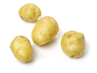 New potato isolated on white background
