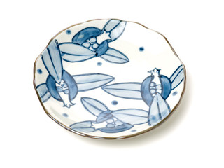 small dish of china on white background