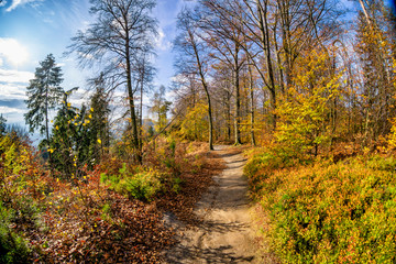 Fototapeta na wymiar Herbstlicher Wanderweg im Elbsandsteingebirge