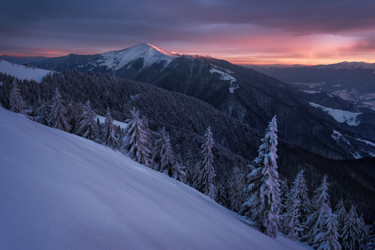 Winter Stymba mount in the evening light. Carpathians