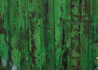 Fototapeta na wymiar Old boards with cracked cyan paint. Textured wooden old background with vertical lines. Cyan wooden planks close up for your design. Green-blue many times painted old wall with lagged fragments of pai