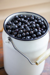 Harvest: blackcurrant berries in a white metal can