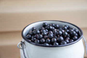 Harvest: blackcurrant berries in a white metal can. With copy space