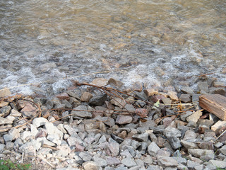 The river Bank, the waves roll on the shore. Copy space.