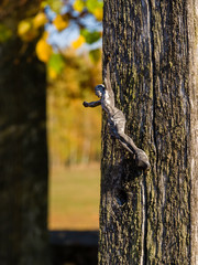 Kaplica cmentarna cmentarna Imienia Maryi  wieś Zawyki