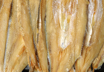 Dried salted fishes on white background