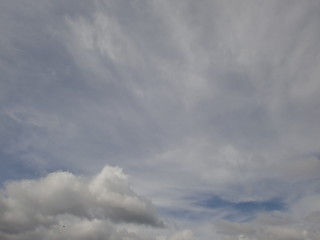 雲