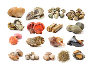 Assortment of fresh shellfish on white background