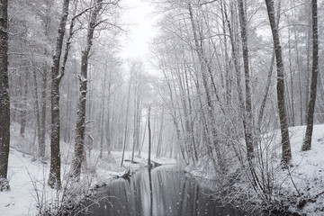 Snowy forest with river in winter