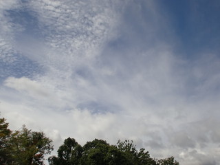Obraz premium 空