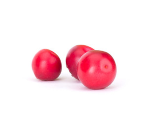 Fresh red berry: hand-picked forest Cowberry isolated on white background, macro shot