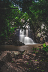 Fototapeta premium waterfall in forest