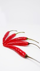red hot chili pepper on white background