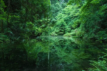 Fotobehang Verborgen prachtige natuurplek, Ishikawa, Japan © Ryosuke