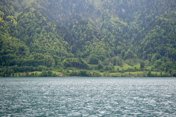 Charming scene of lake brienz and fresh green forest for background and copy space