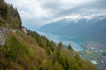 Fototapeta na wymiar Beautiful panorama view of fresh forest on mountain with lake brienz, mountains and cloudy sky background looking from harder kulm with copy space