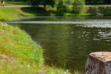 Beautiful background with riverside and lawns