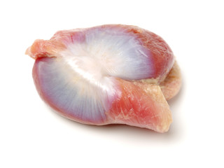 Raw Chicken gizzards on white background