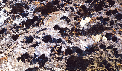 lava rock along the coastline