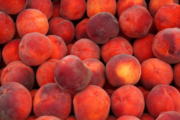 Group of Red Peach Background Concept - Fruit scene texture 