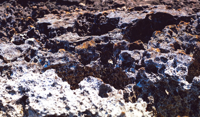 lava rock along the coastline