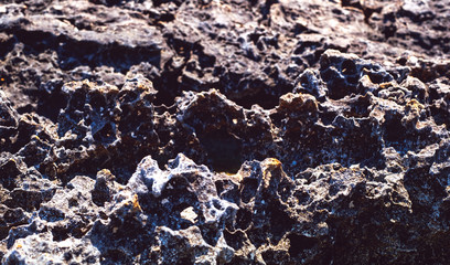 lava rock along the coastline