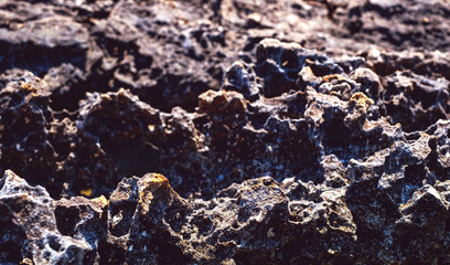 lava rock along the coastline