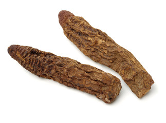 Cynomorium songaricum  Rupr on white background