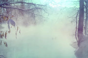 Selbstklebende Fototapeten Winter scene © Galyna Andrushko