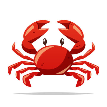 Crab seafood vector isolated illustration