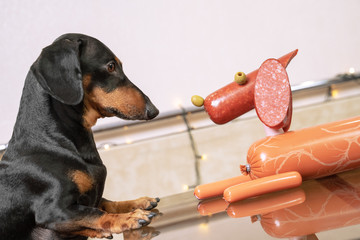 Real dachshund looks at dog made from sausages, with eyes and nose from olives.