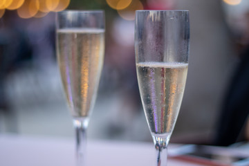 a glass of champagne isolated background closeup