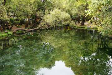Jiuding Dragon Pool of Shuhe Old Town in Lijiang – Yunnan. The water is clean and transparent; the fountains spurt out day and night.                              