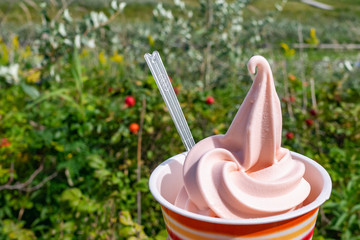 北海道 石狩市 はまなすソフトクリーム