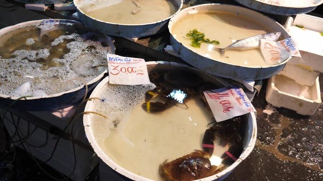 Fresh Live Lobster and Crab at a Fishmonger in Naples, Italy