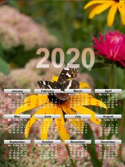 A calendar against the background of a butterfly that sits on a yellow flower. Wall calendar for the whole year. Corporate, home and business calendar. 2020 calendar in table.