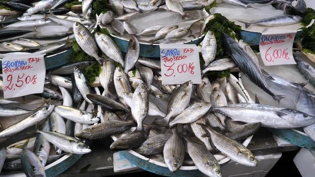 Selection of Fresh Fish, Sardines, Mackerel and Palamita, at an Italian Fishmonger on a Market in Naples, Italy