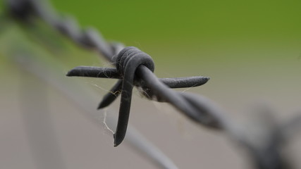 closeup of a barbed wire