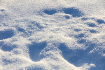 A blanket of white snow in winter