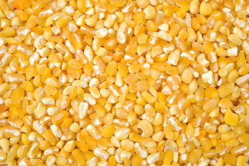 raw crushed corn groats close up