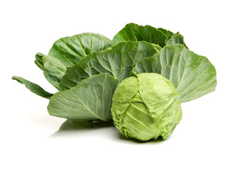 cabbage on white background