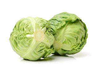 Fototapeta premium cabbage on white background