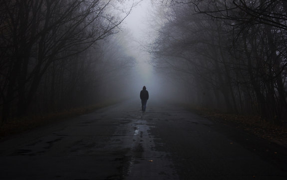 Forest in fog. the man is walking by the fog. Dark foggy forest with magic atmosphere